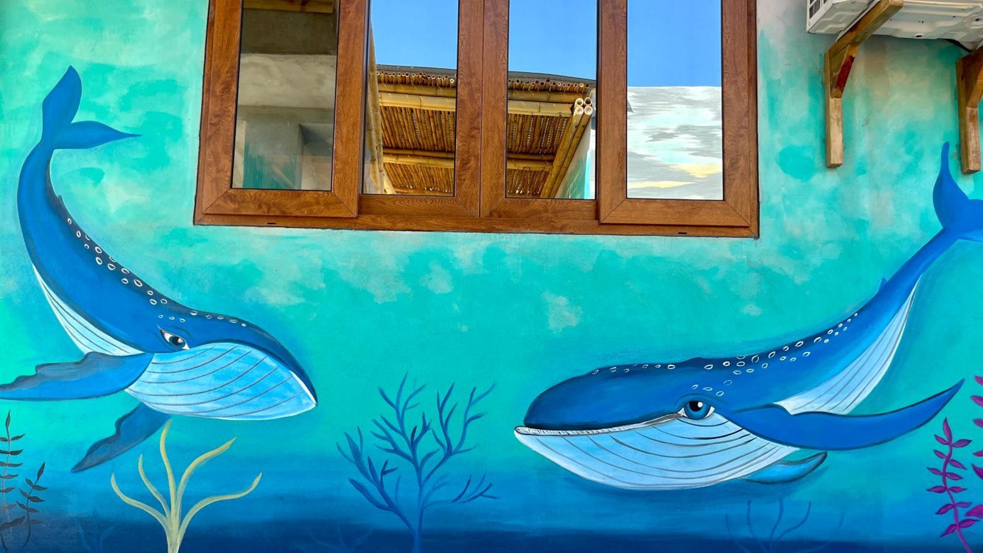 Shanti Surf Camp El Paredón Buena Vista Extérieur photo